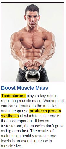 testostrong-1